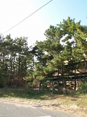PC016120