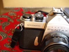 PC176504