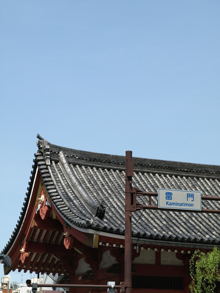 P4217523