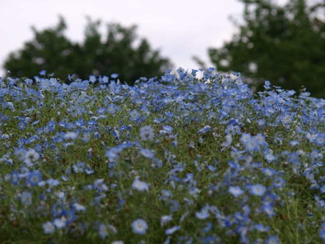 P5127887_R