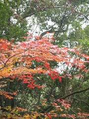 PC016144
