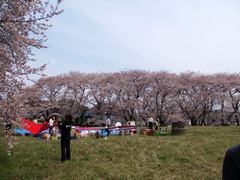 P4052717