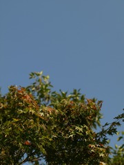 PA215668