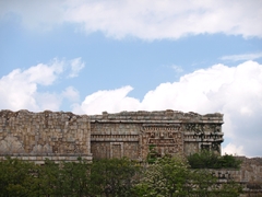 P4222991