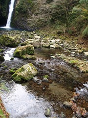 PC016139