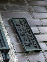 P5133593