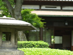 P5133540