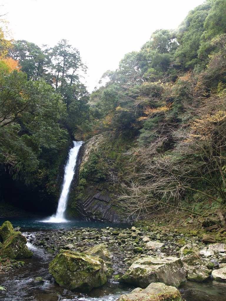 PC016137