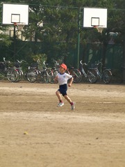 PB275980