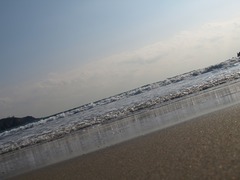 PC016116