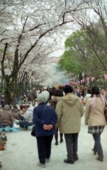 pentax sp062