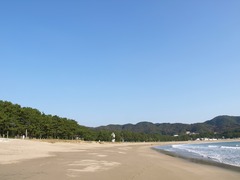 PC016118