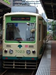 P7013936