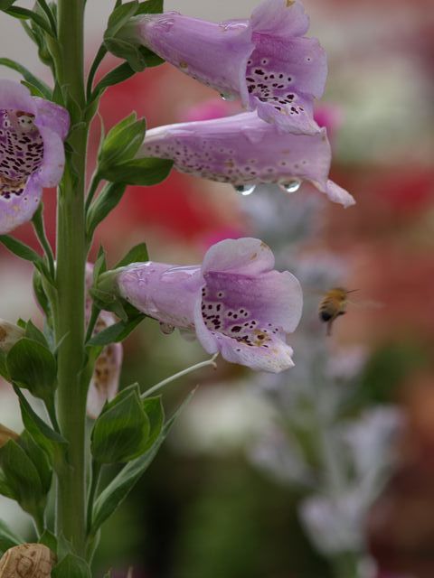 P5127959_R