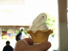 P8284904