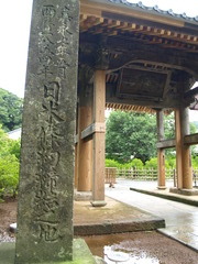 P7234287