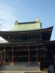 P1206671