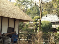 P1206694