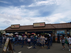 P7294405
