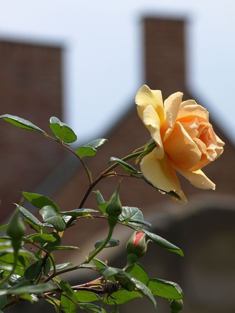 P5127986_R
