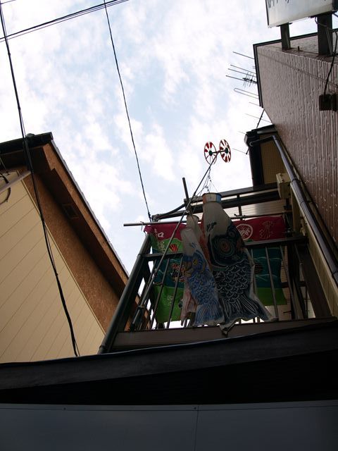 P5057637_R