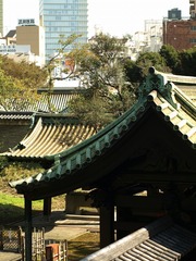 PA215641