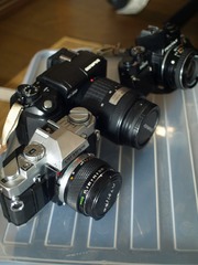 P9074915