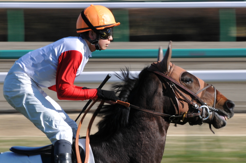 中山競馬場