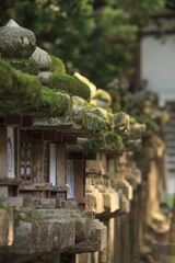 若宮神社への参道にて