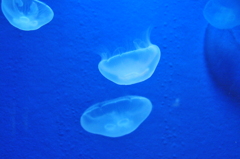 2008.5.28 063