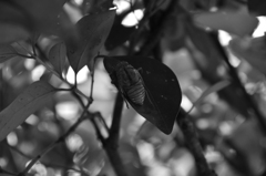 2008.10.4 079