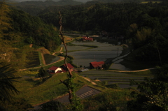 2008.5.27 518