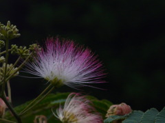 2008.7.133 059