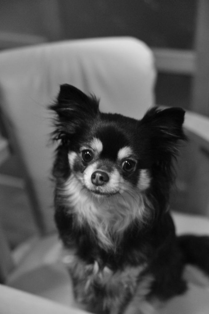 2011.01.01 d700 294