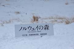 2011.01.25 d700 1544