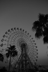 2010.12.23 7d 059