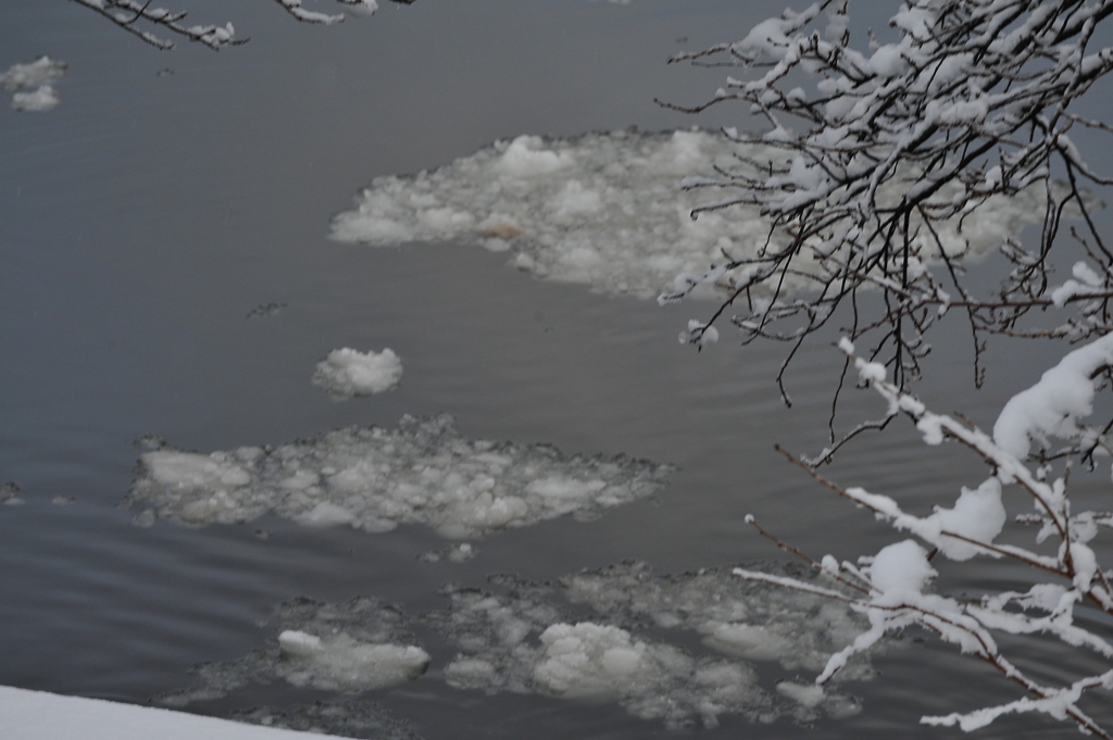 2011.01.25 d700 241