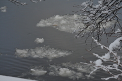 2011.01.25 d700 241