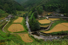 2007.10.3 098