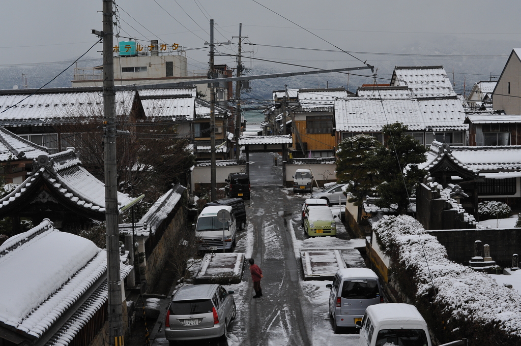 2011.01.25 d700 274