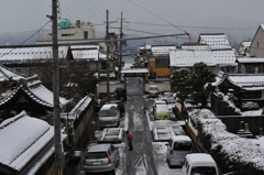 2011.01.25 d700 274