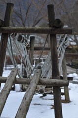 2011.01.25 d700 1535