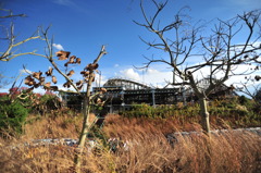 2008.11.20 010
