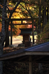 2010.11.18 146