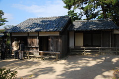 2007.11.1 335
