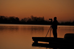 d700 020
