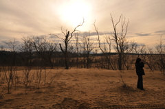 2008.1.19 108