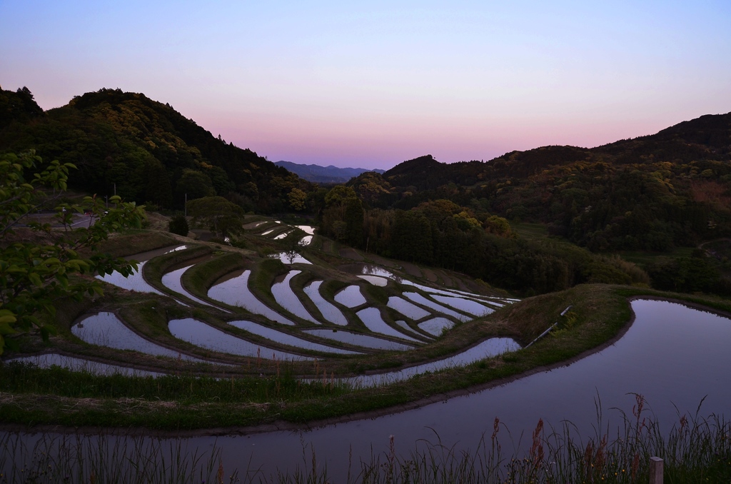 大山千枚田
