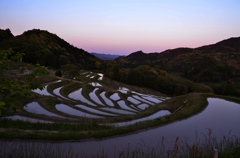 大山千枚田