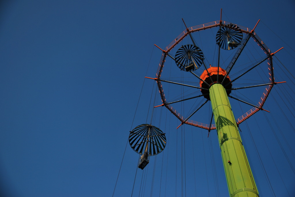 SKY FLOWER